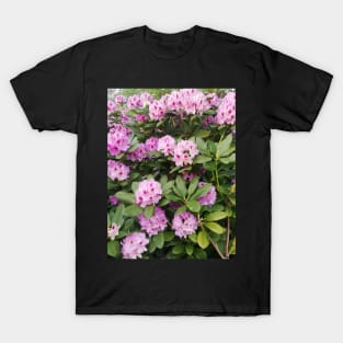 Abundant Flowers T-Shirt